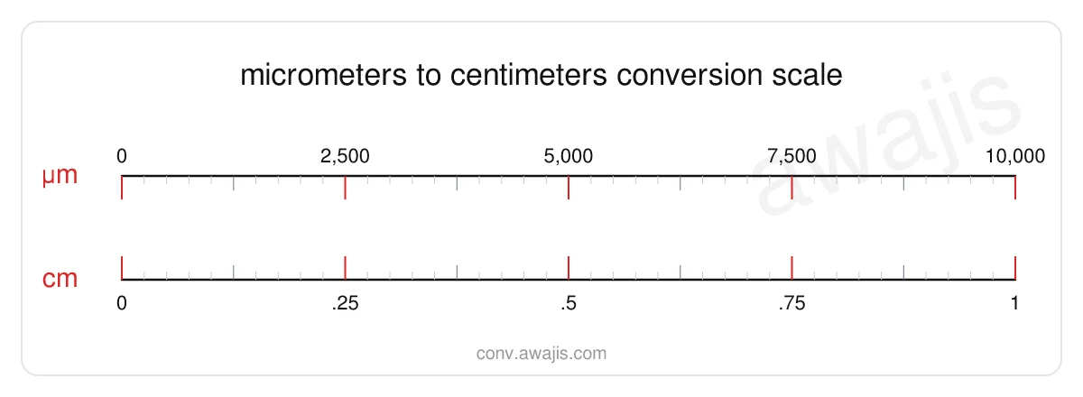 Micrometers to Centimeters conversion scale — a dual ruler showing 1 µm equals .0001 cm.